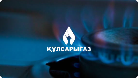 пример портфолио hoster
