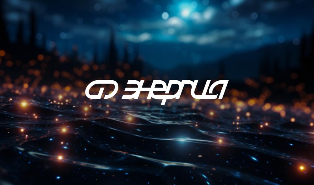 пример портфолио hoster